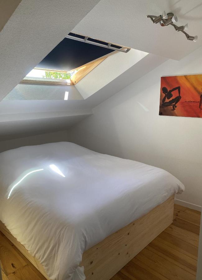 T3 Duplex6 Hyper-Centre Climatise Apartment Albi Luaran gambar